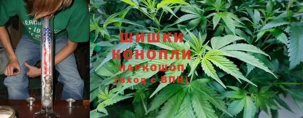 метадон Новозыбков
