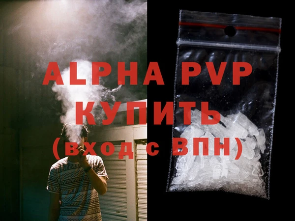 спиды Новокубанск