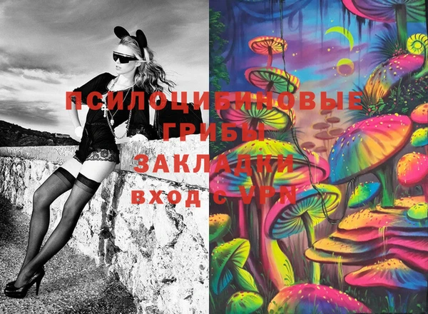 метадон Новозыбков