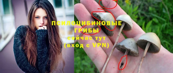 метадон Новозыбков