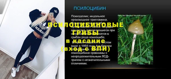 метадон Новозыбков