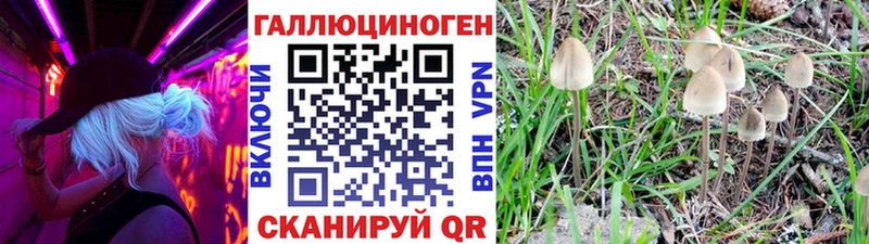 наркотики  блэк спрут маркетплейс  Псилоцибиновые грибы Cubensis  Серов 