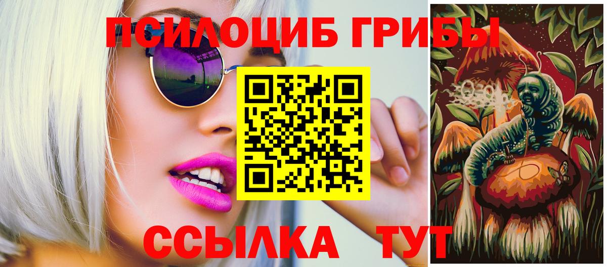 Псилоцибиновые грибы Psilocybe  Серов 