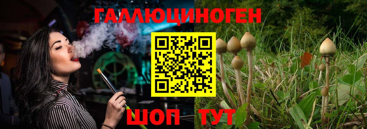 Серов  Галлюциногенные грибы Psilocybe  Вход с VPN  сколько стоит  Галлюциногенные грибы ЛСД 